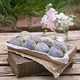 世嘉东京电玩展参展阵容公布：《P3R》、《索尼克》等领衔！